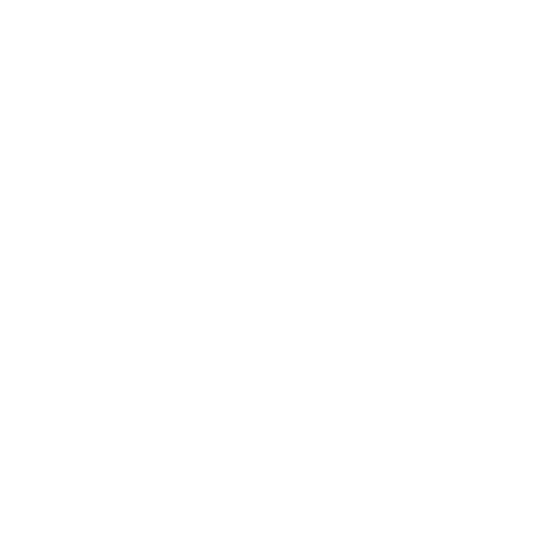 Logo Audio Werft