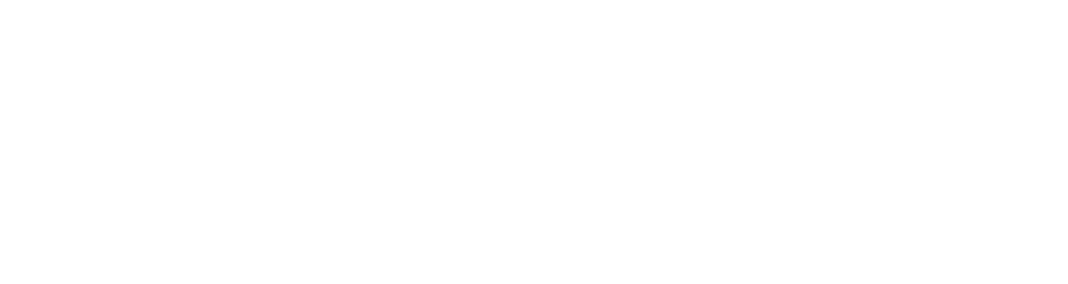 Logo iCon DSC