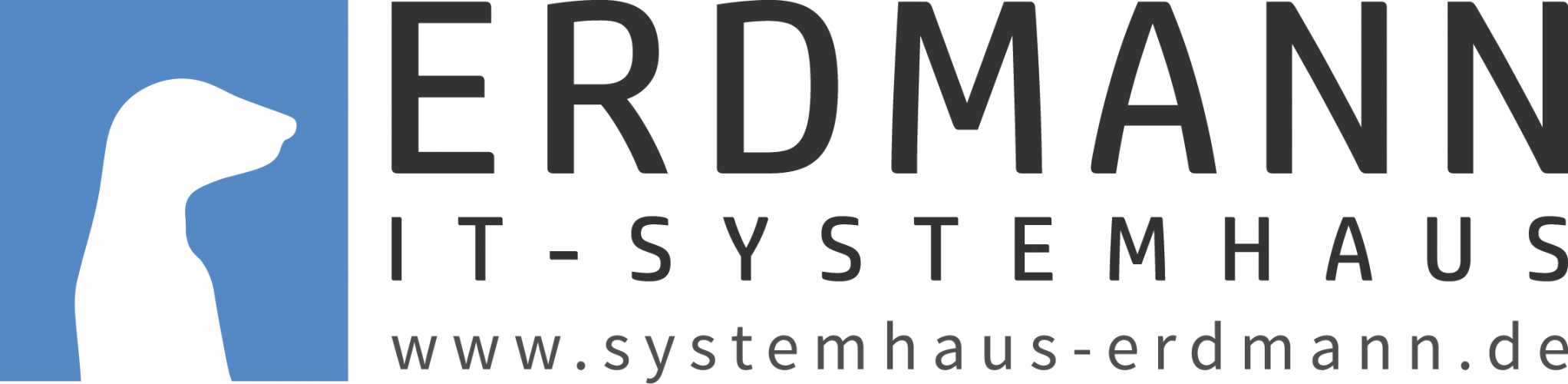 Systemhaus Erdmann GmbH & Co. KG